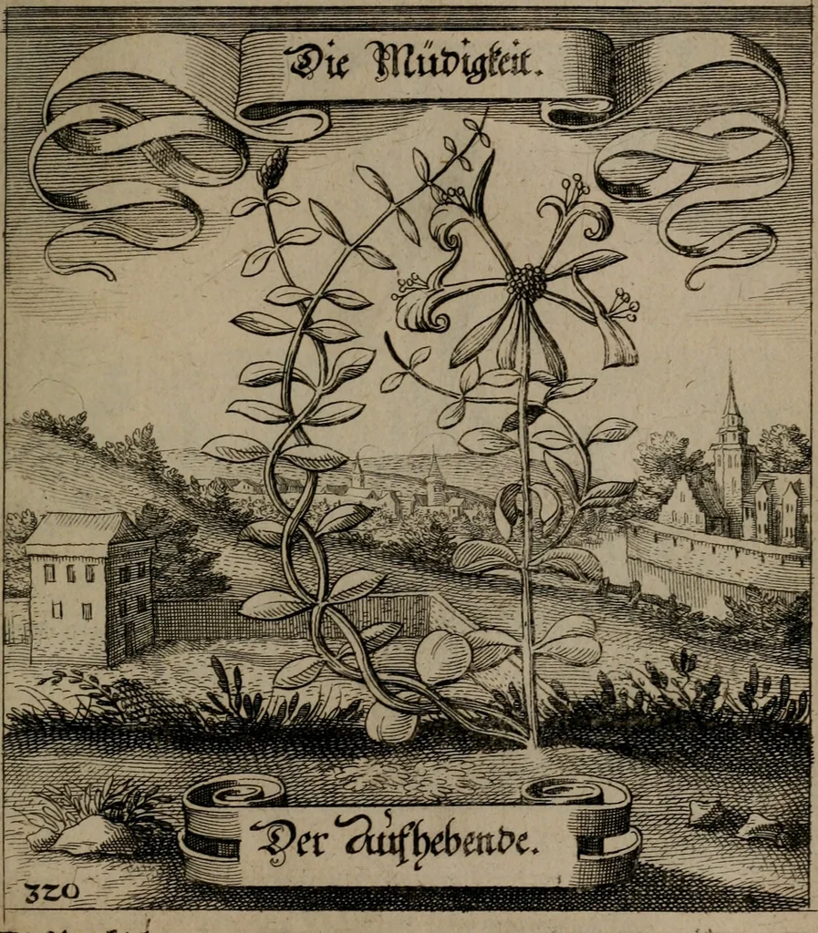 An illustration from Der Fruchtbringenden Geselschaft Nahmen, Vorhaben, Gemählde und Wörter : nach jedes Einnahme ordentlich in Kupfer gestochen, und in achtzeilige Reimgesetze verfasset, 1646, leaf 662