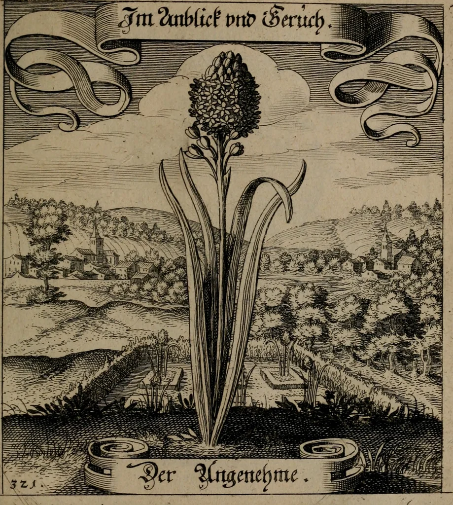 An illustration from Der Fruchtbringenden Geselschaft Nahmen, Vorhaben, Gemählde und Wörter : nach jedes Einnahme ordentlich in Kupfer gestochen, und in achtzeilige Reimgesetze verfasset, 1646, leaf 664