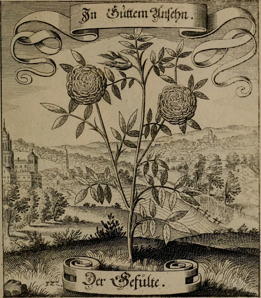 An illustration from Der Fruchtbringenden Geselschaft Nahmen, Vorhaben, Gemählde und Wörter : nach jedes Einnahme ordentlich in Kupfer gestochen, und in achtzeilige Reimgesetze verfasset, 1646, leaf 666