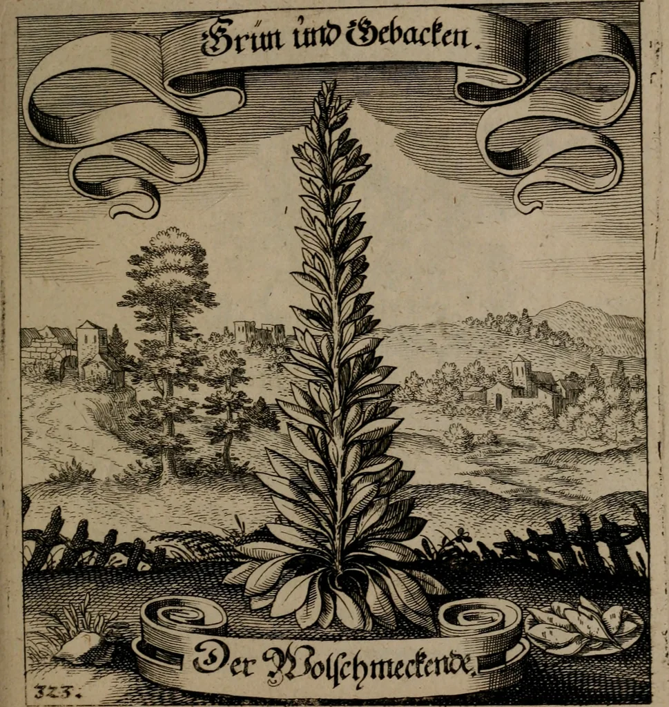 An illustration from Der Fruchtbringenden Geselschaft Nahmen, Vorhaben, Gemählde und Wörter : nach jedes Einnahme ordentlich in Kupfer gestochen, und in achtzeilige Reimgesetze verfasset, 1646, leaf 668