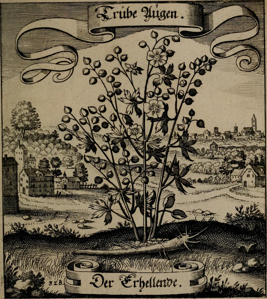 An illustration from Der Fruchtbringenden Geselschaft Nahmen, Vorhaben, Gemählde und Wörter : nach jedes Einnahme ordentlich in Kupfer gestochen, und in achtzeilige Reimgesetze verfasset, 1646, leaf 678
