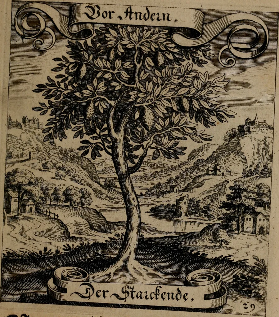 An illustration from Der Fruchtbringenden Geselschaft Nahmen, Vorhaben, Gemählde und Wörter : nach jedes Einnahme ordentlich in Kupfer gestochen, und in achtzeilige Reimgesetze verfasset, 1646, leaf 68