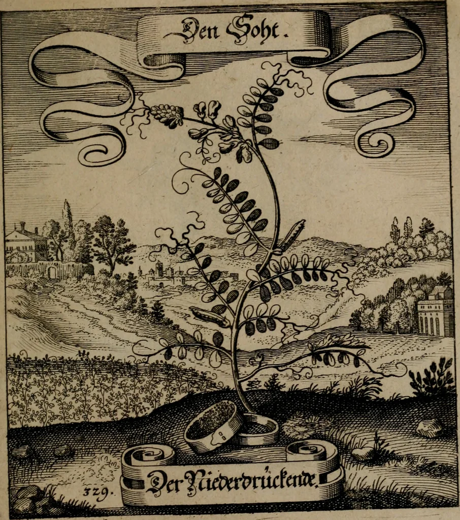 An illustration from Der Fruchtbringenden Geselschaft Nahmen, Vorhaben, Gemählde und Wörter : nach jedes Einnahme ordentlich in Kupfer gestochen, und in achtzeilige Reimgesetze verfasset, 1646, leaf 680