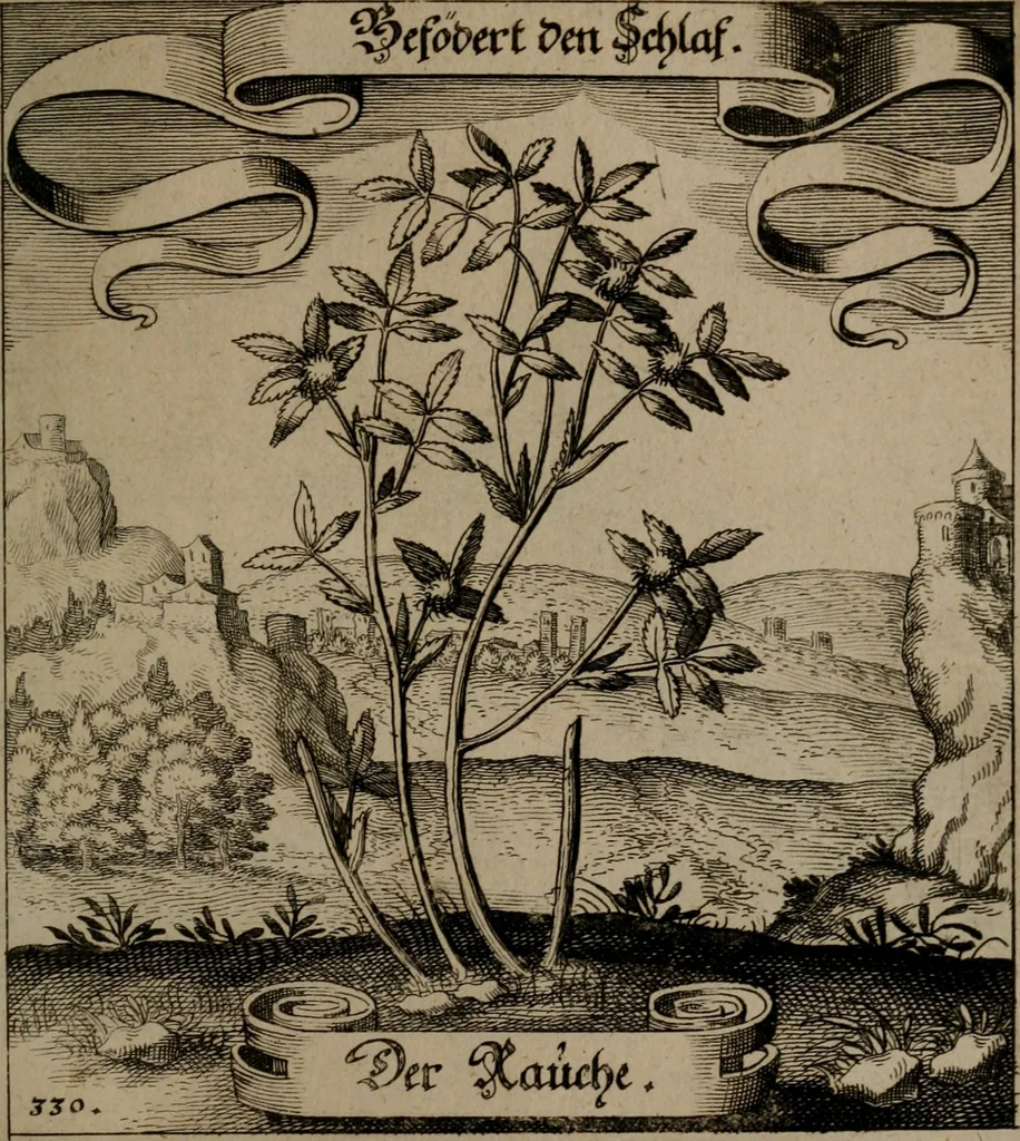 An illustration from Der Fruchtbringenden Geselschaft Nahmen, Vorhaben, Gemählde und Wörter : nach jedes Einnahme ordentlich in Kupfer gestochen, und in achtzeilige Reimgesetze verfasset, 1646, leaf 682