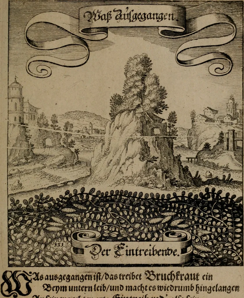An illustration from Der Fruchtbringenden Geselschaft Nahmen, Vorhaben, Gemählde und Wörter : nach jedes Einnahme ordentlich in Kupfer gestochen, und in achtzeilige Reimgesetze verfasset, 1646, leaf 684