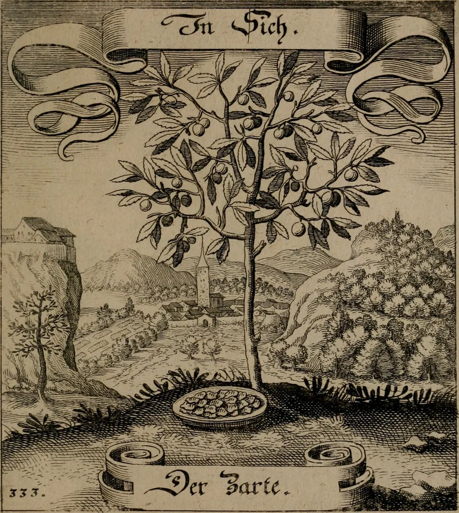 An illustration from Der Fruchtbringenden Geselschaft Nahmen, Vorhaben, Gemählde und Wörter : nach jedes Einnahme ordentlich in Kupfer gestochen, und in achtzeilige Reimgesetze verfasset, 1646, leaf 688