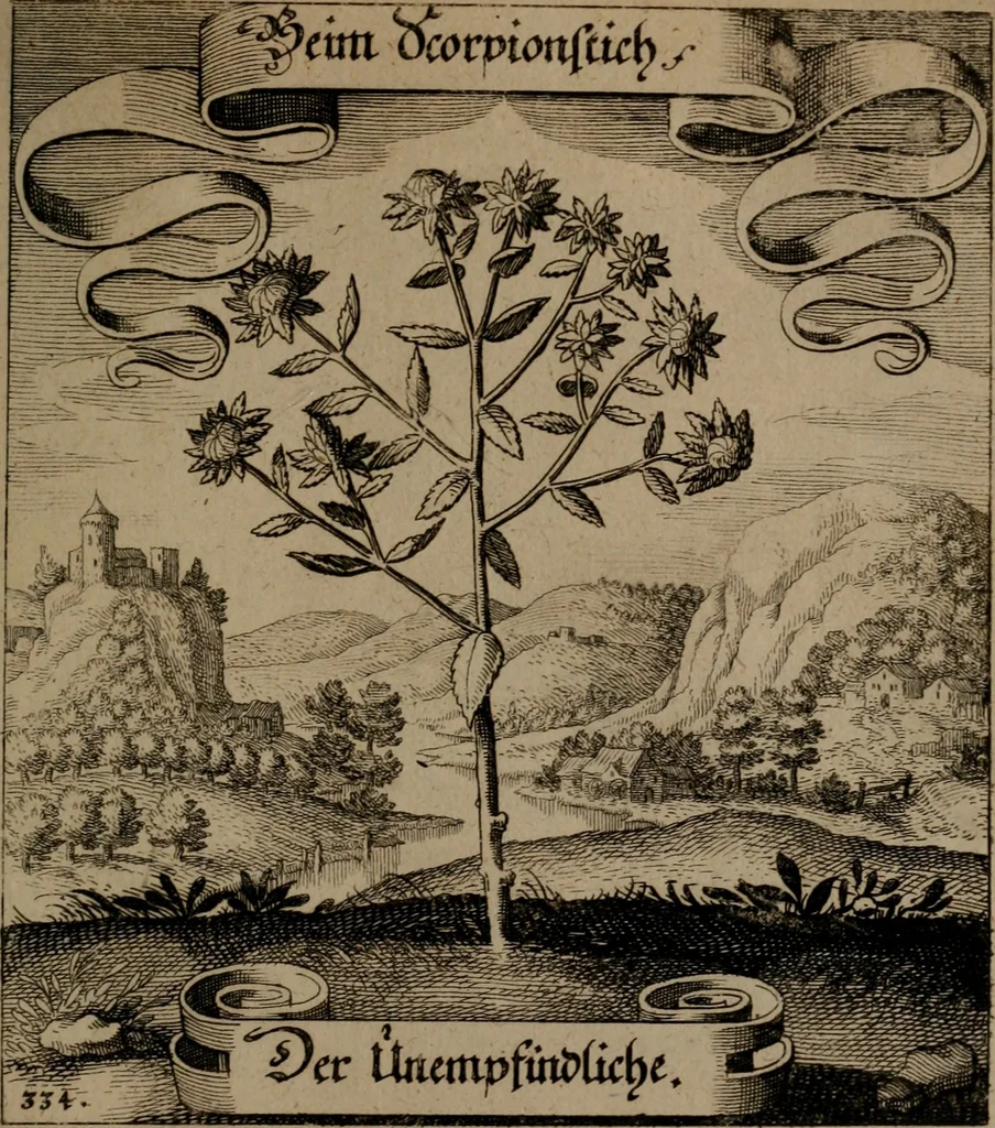 An illustration from Der Fruchtbringenden Geselschaft Nahmen, Vorhaben, Gemählde und Wörter : nach jedes Einnahme ordentlich in Kupfer gestochen, und in achtzeilige Reimgesetze verfasset, 1646, leaf 690