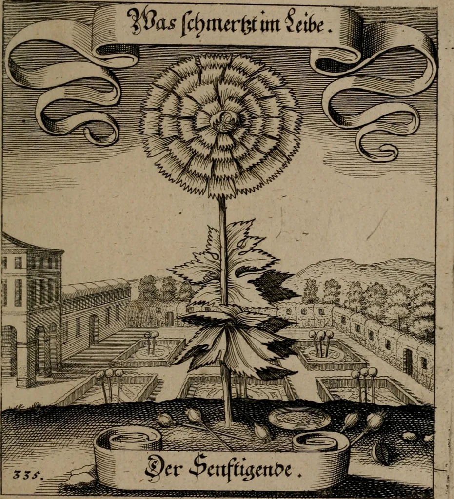 An illustration from Der Fruchtbringenden Geselschaft Nahmen, Vorhaben, Gemählde und Wörter : nach jedes Einnahme ordentlich in Kupfer gestochen, und in achtzeilige Reimgesetze verfasset, 1646, leaf 692