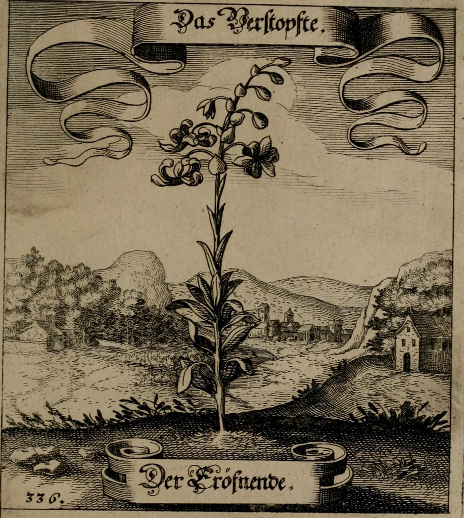 An illustration from Der Fruchtbringenden Geselschaft Nahmen, Vorhaben, Gemählde und Wörter : nach jedes Einnahme ordentlich in Kupfer gestochen, und in achtzeilige Reimgesetze verfasset, 1646, leaf 694