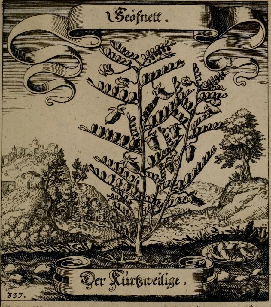 An illustration from Der Fruchtbringenden Geselschaft Nahmen, Vorhaben, Gemählde und Wörter : nach jedes Einnahme ordentlich in Kupfer gestochen, und in achtzeilige Reimgesetze verfasset, 1646, leaf 696