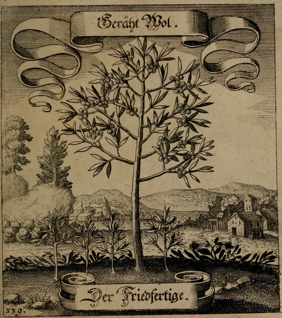 An illustration from Der Fruchtbringenden Geselschaft Nahmen, Vorhaben, Gemählde und Wörter : nach jedes Einnahme ordentlich in Kupfer gestochen, und in achtzeilige Reimgesetze verfasset, 1646, leaf 700