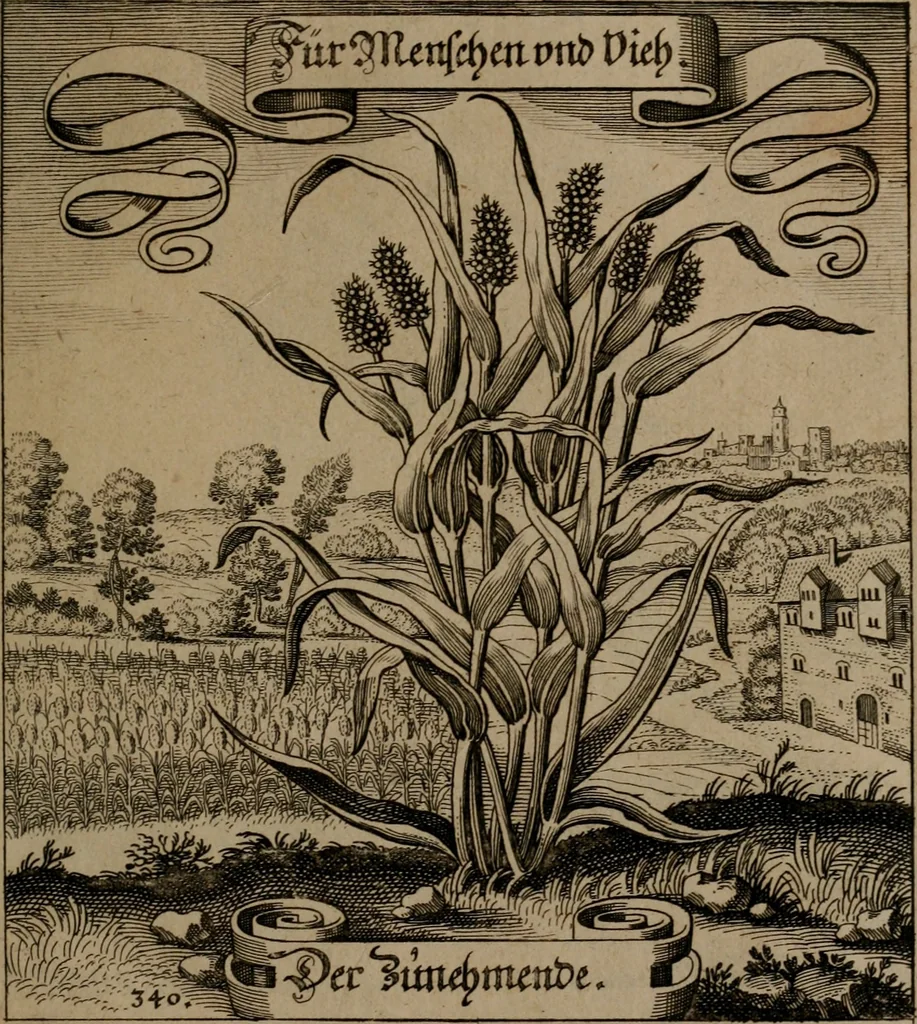 An illustration from Der Fruchtbringenden Geselschaft Nahmen, Vorhaben, Gemählde und Wörter : nach jedes Einnahme ordentlich in Kupfer gestochen, und in achtzeilige Reimgesetze verfasset, 1646, leaf 702