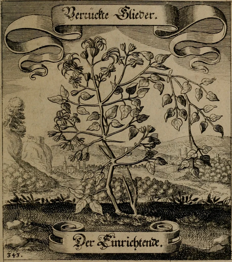 An illustration from Der Fruchtbringenden Geselschaft Nahmen, Vorhaben, Gemählde und Wörter : nach jedes Einnahme ordentlich in Kupfer gestochen, und in achtzeilige Reimgesetze verfasset, 1646, leaf 708