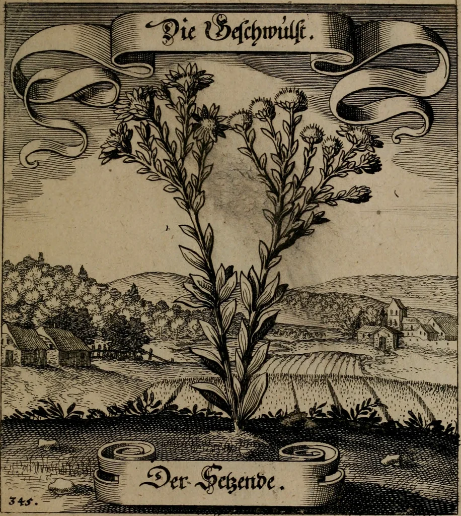 An illustration from Der Fruchtbringenden Geselschaft Nahmen, Vorhaben, Gemählde und Wörter : nach jedes Einnahme ordentlich in Kupfer gestochen, und in achtzeilige Reimgesetze verfasset, 1646, leaf 712