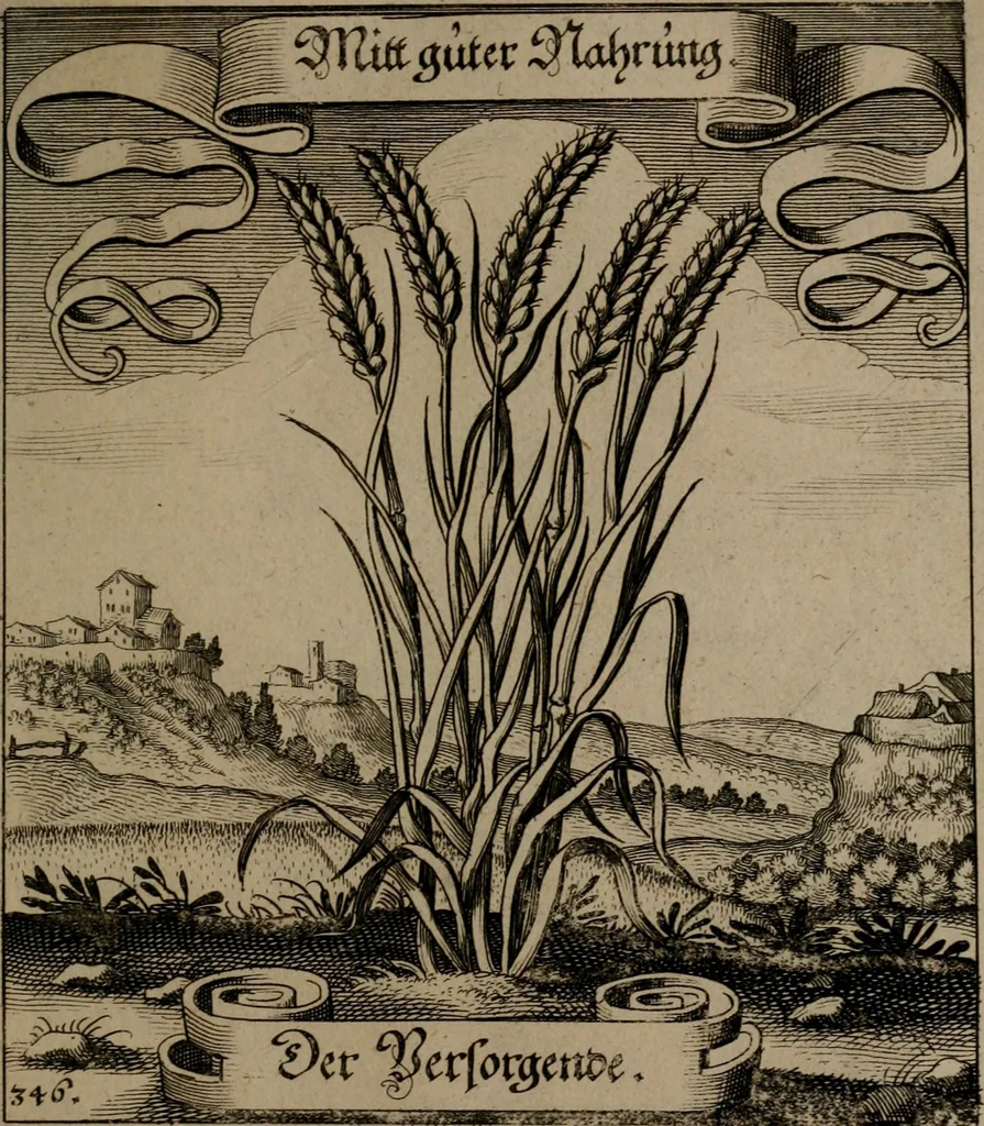 An illustration from Der Fruchtbringenden Geselschaft Nahmen, Vorhaben, Gemählde und Wörter : nach jedes Einnahme ordentlich in Kupfer gestochen, und in achtzeilige Reimgesetze verfasset, 1646, leaf 714