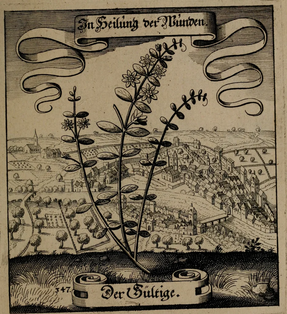 An illustration from Der Fruchtbringenden Geselschaft Nahmen, Vorhaben, Gemählde und Wörter : nach jedes Einnahme ordentlich in Kupfer gestochen, und in achtzeilige Reimgesetze verfasset, 1646, leaf 716