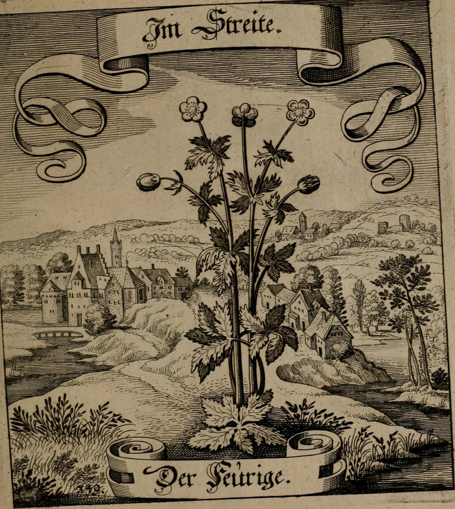 An illustration from Der Fruchtbringenden Geselschaft Nahmen, Vorhaben, Gemählde und Wörter : nach jedes Einnahme ordentlich in Kupfer gestochen, und in achtzeilige Reimgesetze verfasset, 1646, leaf 720
