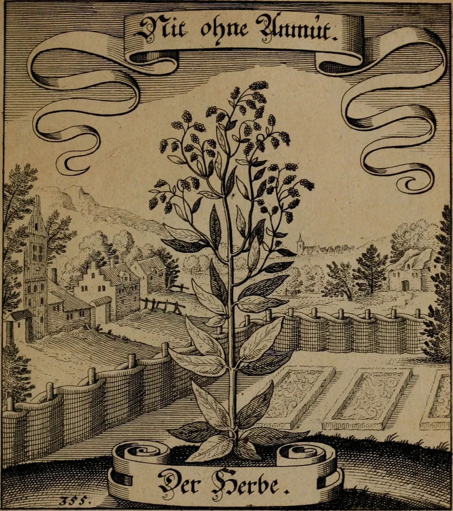 An illustration from Der Fruchtbringenden Geselschaft Nahmen, Vorhaben, Gemählde und Wörter : nach jedes Einnahme ordentlich in Kupfer gestochen, und in achtzeilige Reimgesetze verfasset, 1646, leaf 732