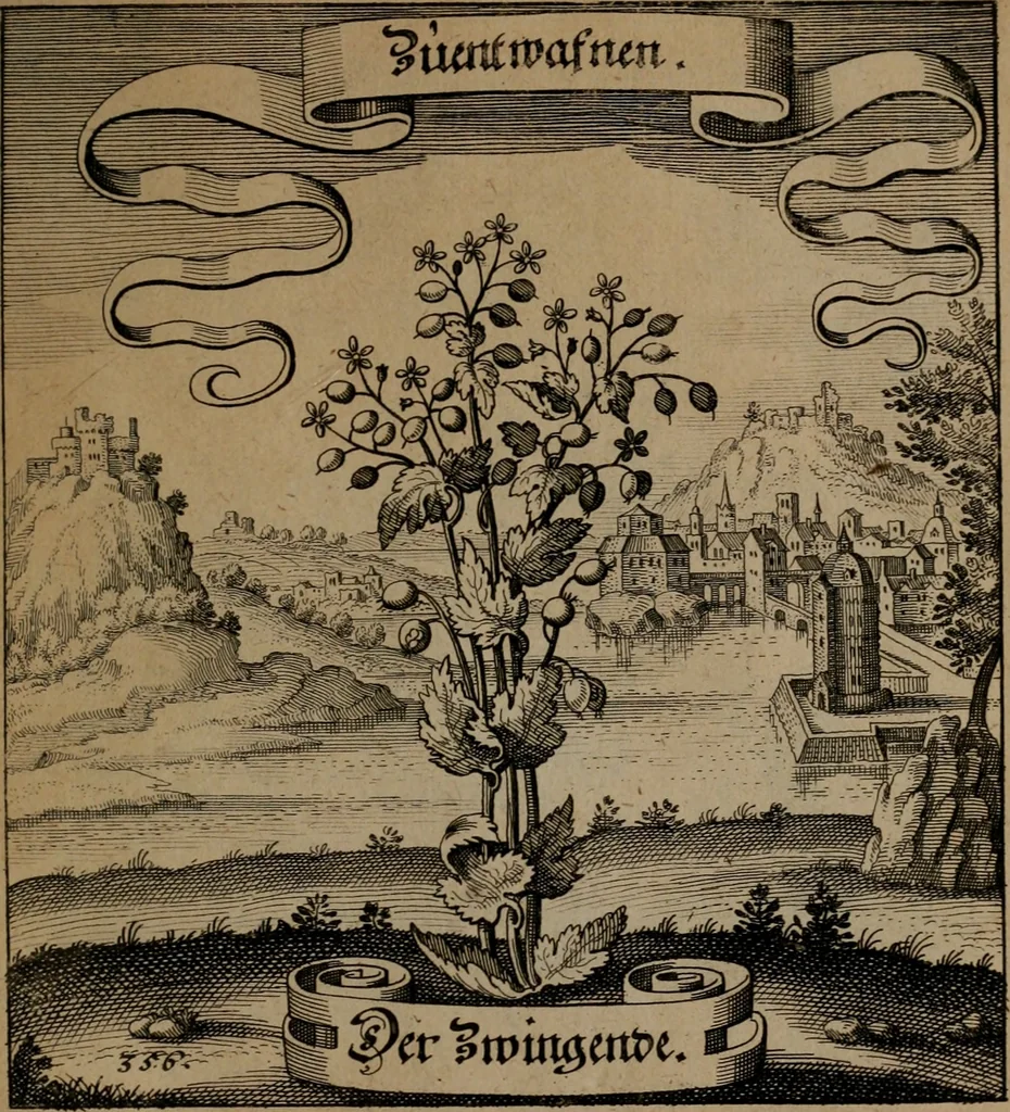An illustration from Der Fruchtbringenden Geselschaft Nahmen, Vorhaben, Gemählde und Wörter : nach jedes Einnahme ordentlich in Kupfer gestochen, und in achtzeilige Reimgesetze verfasset, 1646, leaf 734