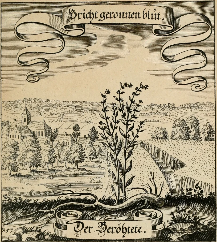 An illustration from Der Fruchtbringenden Geselschaft Nahmen, Vorhaben, Gemählde und Wörter : nach jedes Einnahme ordentlich in Kupfer gestochen, und in achtzeilige Reimgesetze verfasset, 1646, leaf 736