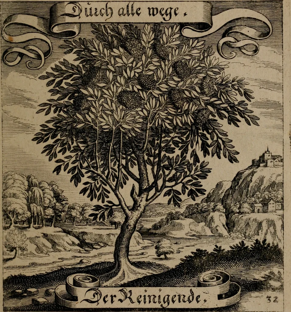 An illustration from Der Fruchtbringenden Geselschaft Nahmen, Vorhaben, Gemählde und Wörter : nach jedes Einnahme ordentlich in Kupfer gestochen, und in achtzeilige Reimgesetze verfasset, 1646, leaf 74