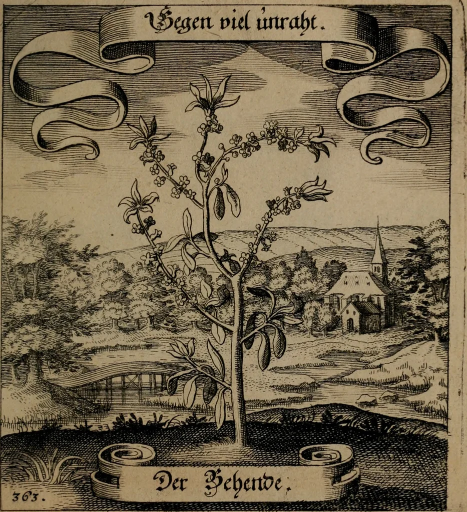 An illustration from Der Fruchtbringenden Geselschaft Nahmen, Vorhaben, Gemählde und Wörter : nach jedes Einnahme ordentlich in Kupfer gestochen, und in achtzeilige Reimgesetze verfasset, 1646, leaf 748