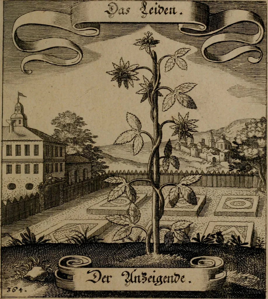 An illustration from Der Fruchtbringenden Geselschaft Nahmen, Vorhaben, Gemählde und Wörter : nach jedes Einnahme ordentlich in Kupfer gestochen, und in achtzeilige Reimgesetze verfasset, 1646, leaf 750