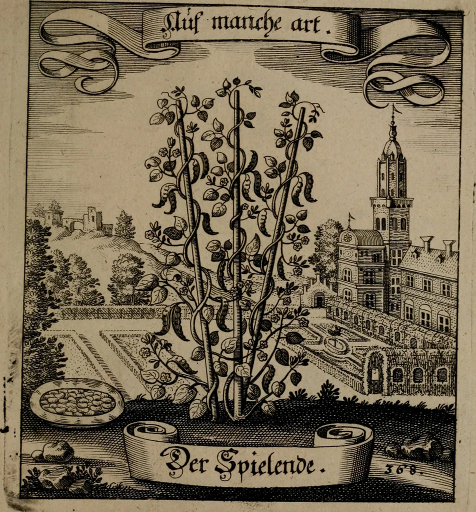 An illustration from Der Fruchtbringenden Geselschaft Nahmen, Vorhaben, Gemählde und Wörter : nach jedes Einnahme ordentlich in Kupfer gestochen, und in achtzeilige Reimgesetze verfasset, 1646, leaf 758