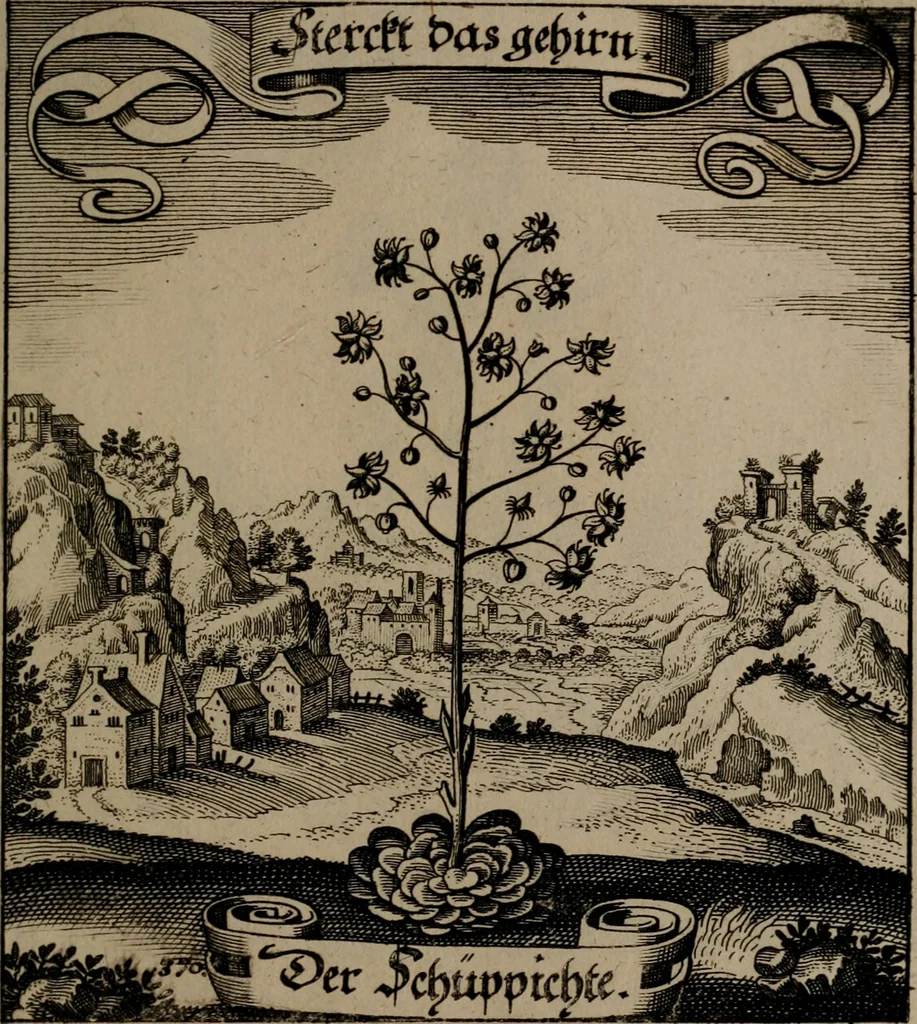 An illustration from Der Fruchtbringenden Geselschaft Nahmen, Vorhaben, Gemählde und Wörter : nach jedes Einnahme ordentlich in Kupfer gestochen, und in achtzeilige Reimgesetze verfasset, 1646, leaf 762