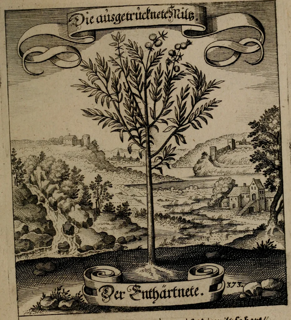 An illustration from Der Fruchtbringenden Geselschaft Nahmen, Vorhaben, Gemählde und Wörter : nach jedes Einnahme ordentlich in Kupfer gestochen, und in achtzeilige Reimgesetze verfasset, 1646, leaf 768
