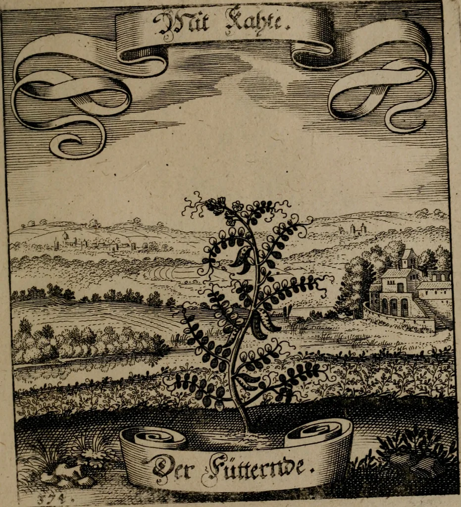 An illustration from Der Fruchtbringenden Geselschaft Nahmen, Vorhaben, Gemählde und Wörter : nach jedes Einnahme ordentlich in Kupfer gestochen, und in achtzeilige Reimgesetze verfasset, 1646, leaf 770