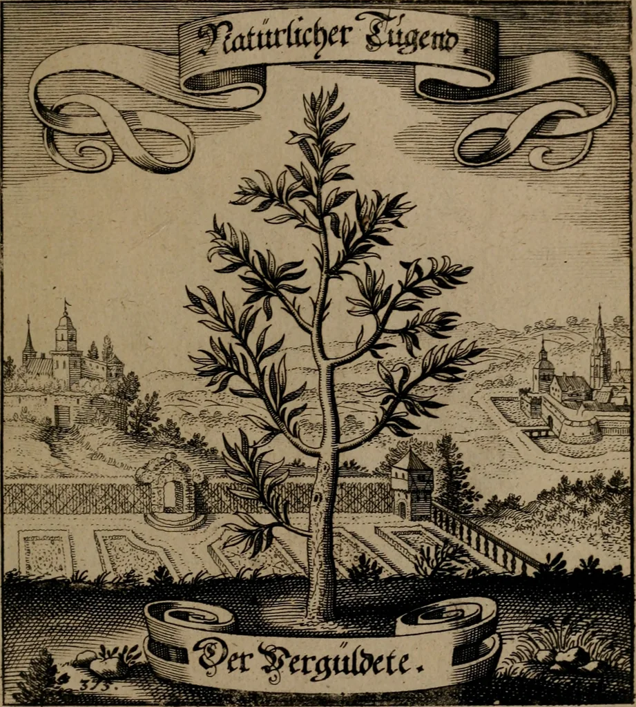 An illustration from Der Fruchtbringenden Geselschaft Nahmen, Vorhaben, Gemählde und Wörter : nach jedes Einnahme ordentlich in Kupfer gestochen, und in achtzeilige Reimgesetze verfasset, 1646, leaf 772