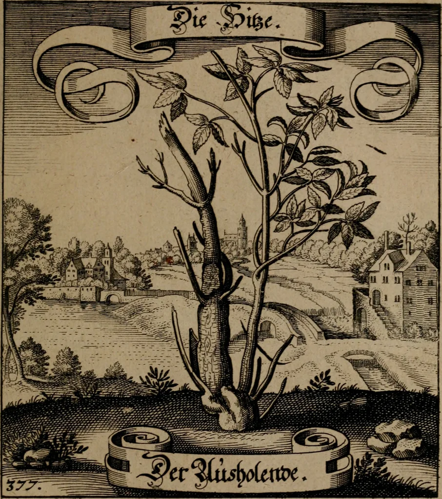 An illustration from Der Fruchtbringenden Geselschaft Nahmen, Vorhaben, Gemählde und Wörter : nach jedes Einnahme ordentlich in Kupfer gestochen, und in achtzeilige Reimgesetze verfasset, 1646, leaf 776