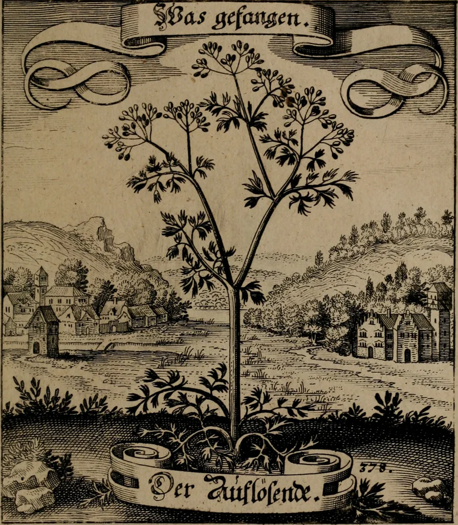 An illustration from Der Fruchtbringenden Geselschaft Nahmen, Vorhaben, Gemählde und Wörter : nach jedes Einnahme ordentlich in Kupfer gestochen, und in achtzeilige Reimgesetze verfasset, 1646, leaf 778