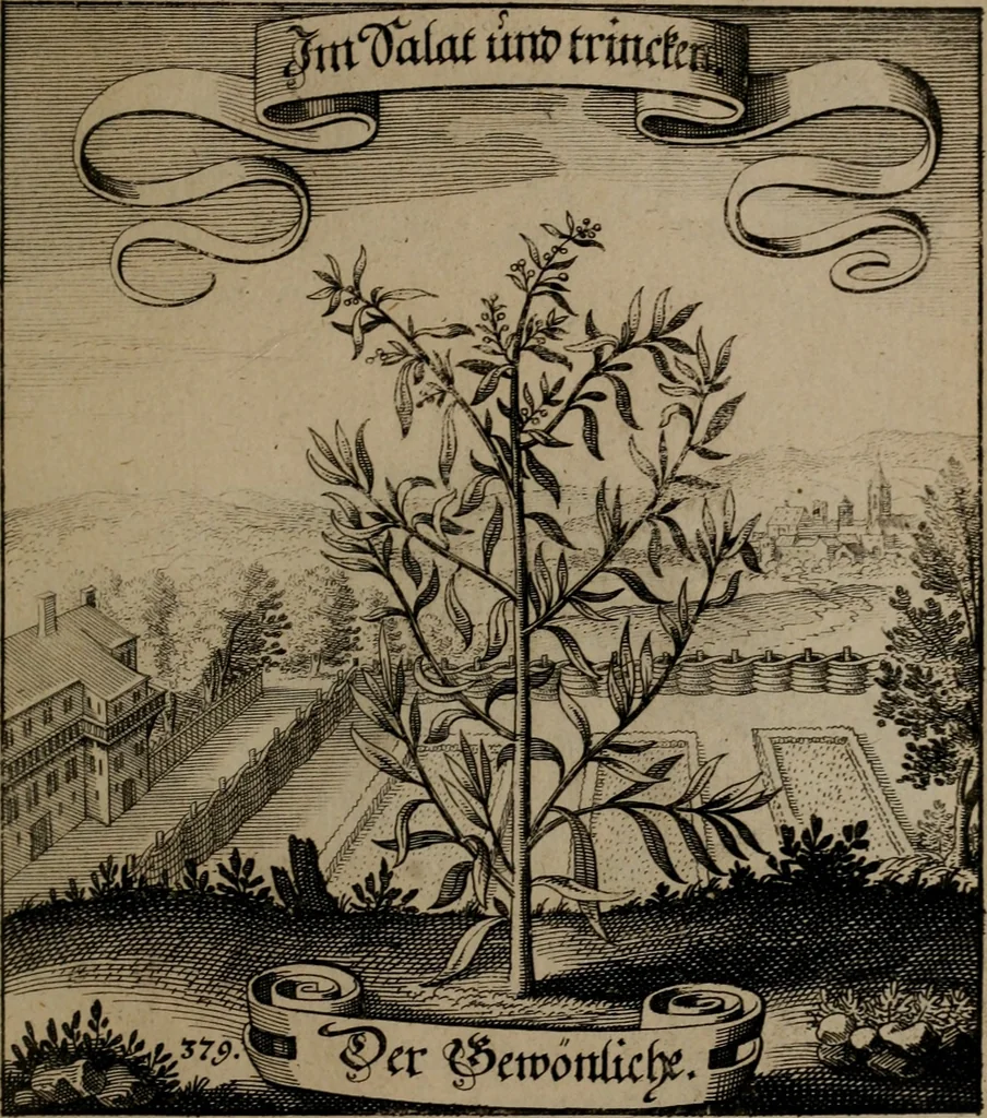 An illustration from Der Fruchtbringenden Geselschaft Nahmen, Vorhaben, Gemählde und Wörter : nach jedes Einnahme ordentlich in Kupfer gestochen, und in achtzeilige Reimgesetze verfasset, 1646, leaf 780