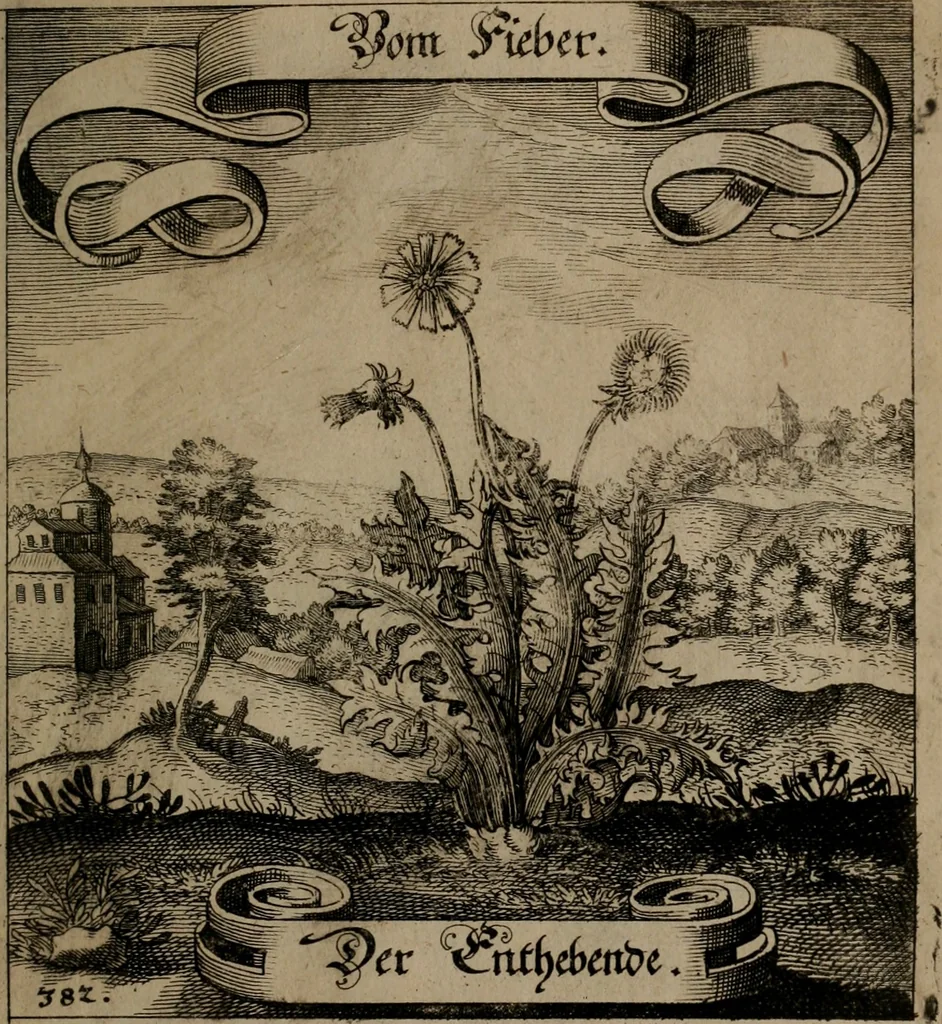 An illustration from Der Fruchtbringenden Geselschaft Nahmen, Vorhaben, Gemählde und Wörter : nach jedes Einnahme ordentlich in Kupfer gestochen, und in achtzeilige Reimgesetze verfasset, 1646, leaf 786