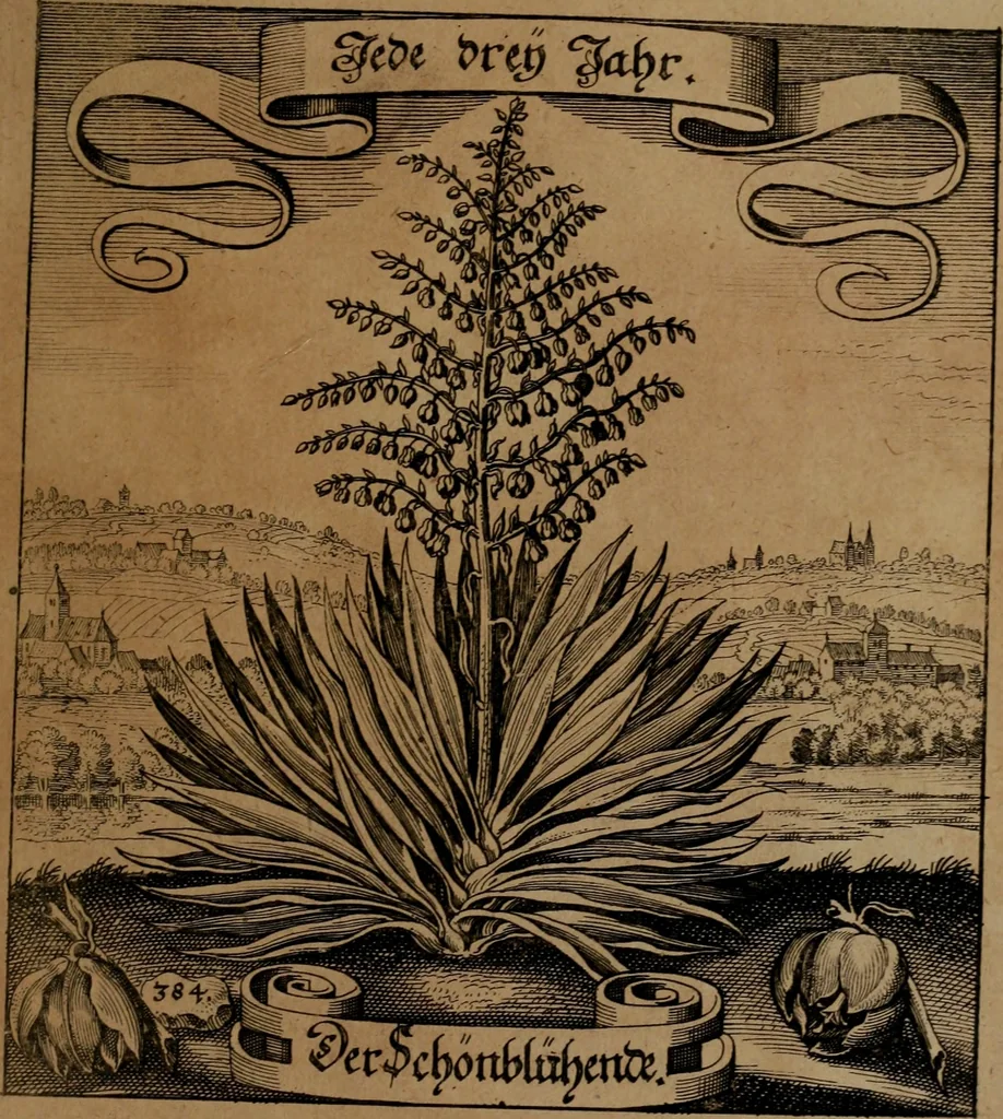 An illustration from Der Fruchtbringenden Geselschaft Nahmen, Vorhaben, Gemählde und Wörter : nach jedes Einnahme ordentlich in Kupfer gestochen, und in achtzeilige Reimgesetze verfasset, 1646, leaf 790