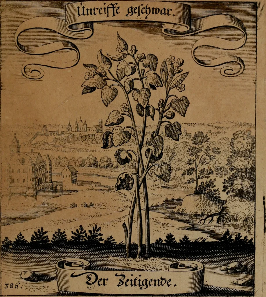 An illustration from Der Fruchtbringenden Geselschaft Nahmen, Vorhaben, Gemählde und Wörter : nach jedes Einnahme ordentlich in Kupfer gestochen, und in achtzeilige Reimgesetze verfasset, 1646, leaf 794