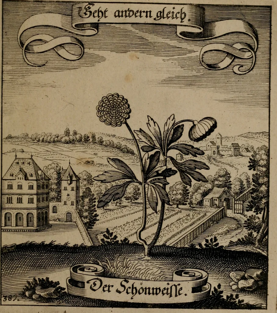 An illustration from Der Fruchtbringenden Geselschaft Nahmen, Vorhaben, Gemählde und Wörter : nach jedes Einnahme ordentlich in Kupfer gestochen, und in achtzeilige Reimgesetze verfasset, 1646, leaf 796