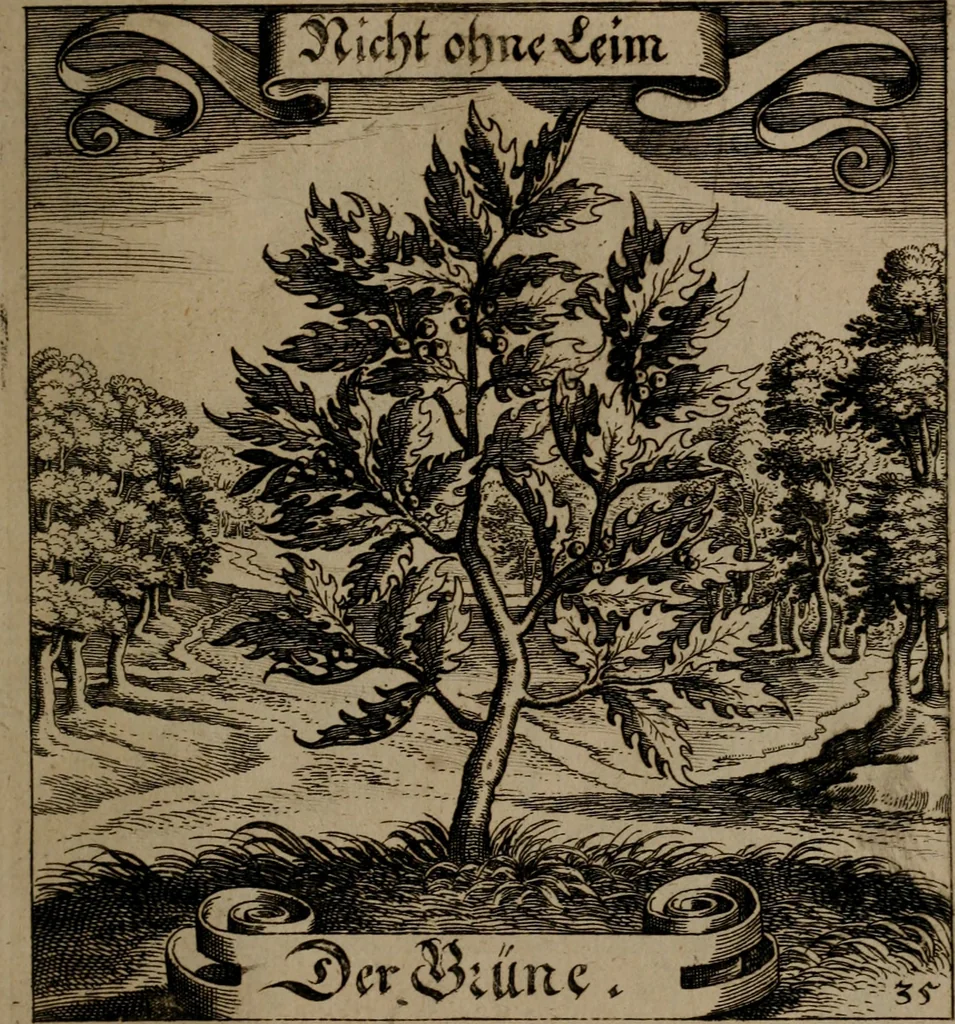 An illustration from Der Fruchtbringenden Geselschaft Nahmen, Vorhaben, Gemählde und Wörter : nach jedes Einnahme ordentlich in Kupfer gestochen, und in achtzeilige Reimgesetze verfasset, 1646, leaf 80