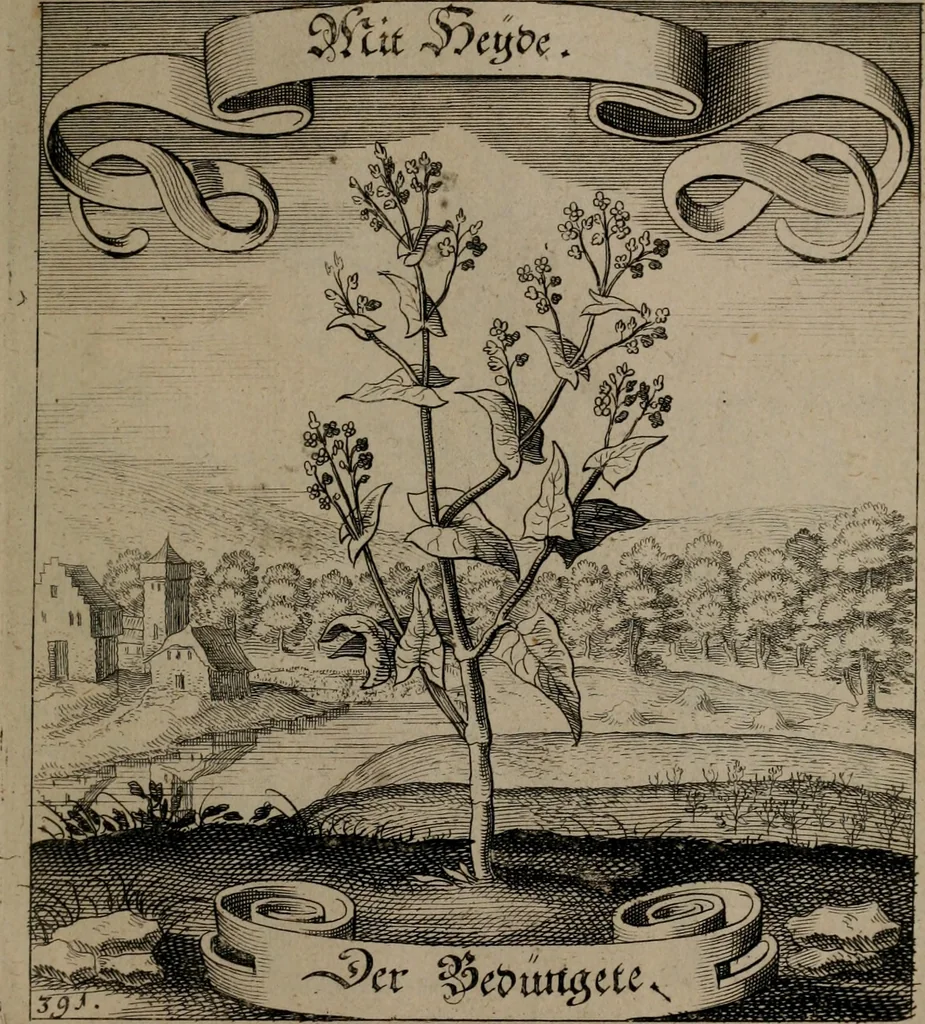 An illustration from Der Fruchtbringenden Geselschaft Nahmen, Vorhaben, Gemählde und Wörter : nach jedes Einnahme ordentlich in Kupfer gestochen, und in achtzeilige Reimgesetze verfasset, 1646, leaf 804