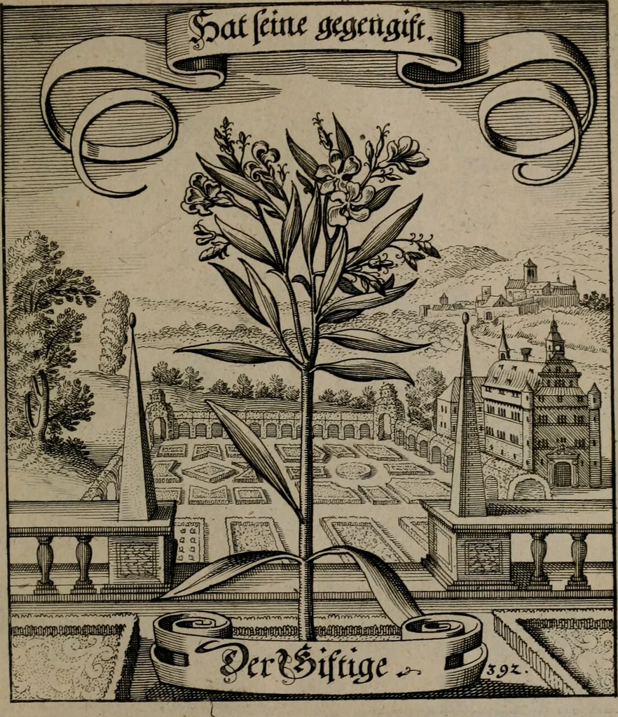 An illustration from Der Fruchtbringenden Geselschaft Nahmen, Vorhaben, Gemählde und Wörter : nach jedes Einnahme ordentlich in Kupfer gestochen, und in achtzeilige Reimgesetze verfasset, 1646, leaf 806