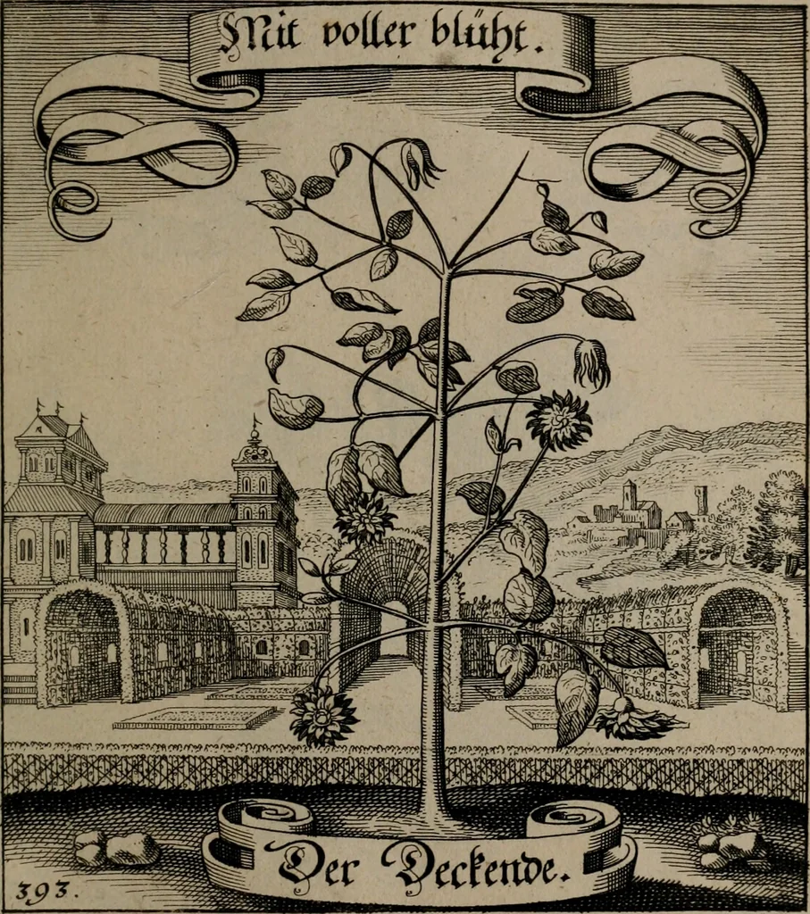 An illustration from Der Fruchtbringenden Geselschaft Nahmen, Vorhaben, Gemählde und Wörter : nach jedes Einnahme ordentlich in Kupfer gestochen, und in achtzeilige Reimgesetze verfasset, 1646, leaf 808