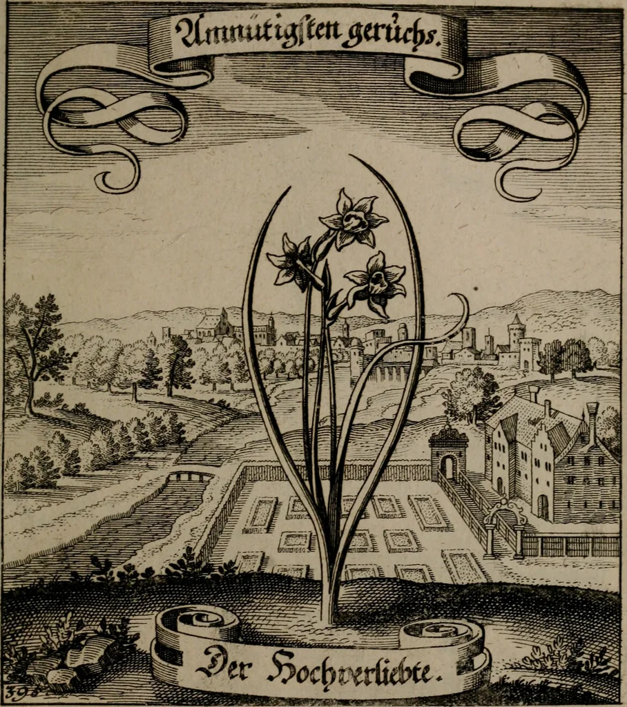 An illustration from Der Fruchtbringenden Geselschaft Nahmen, Vorhaben, Gemählde und Wörter : nach jedes Einnahme ordentlich in Kupfer gestochen, und in achtzeilige Reimgesetze verfasset, 1646, leaf 812