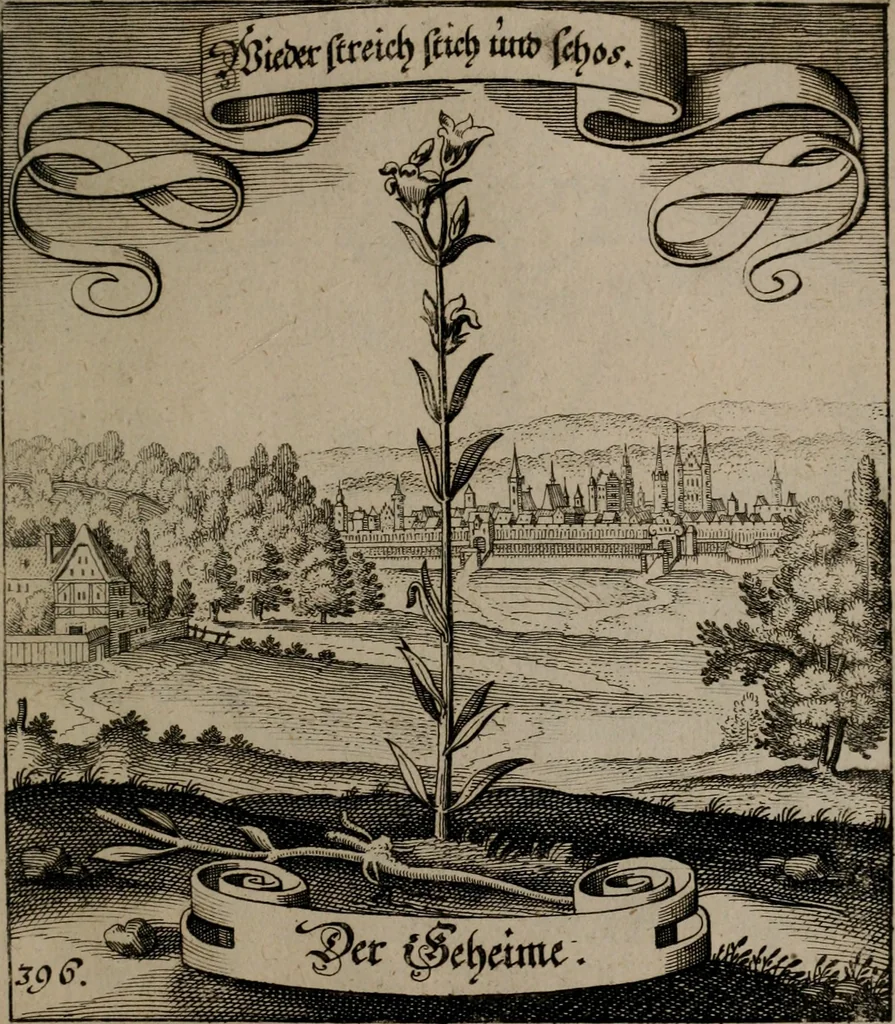 An illustration from Der Fruchtbringenden Geselschaft Nahmen, Vorhaben, Gemählde und Wörter : nach jedes Einnahme ordentlich in Kupfer gestochen, und in achtzeilige Reimgesetze verfasset, 1646, leaf 814