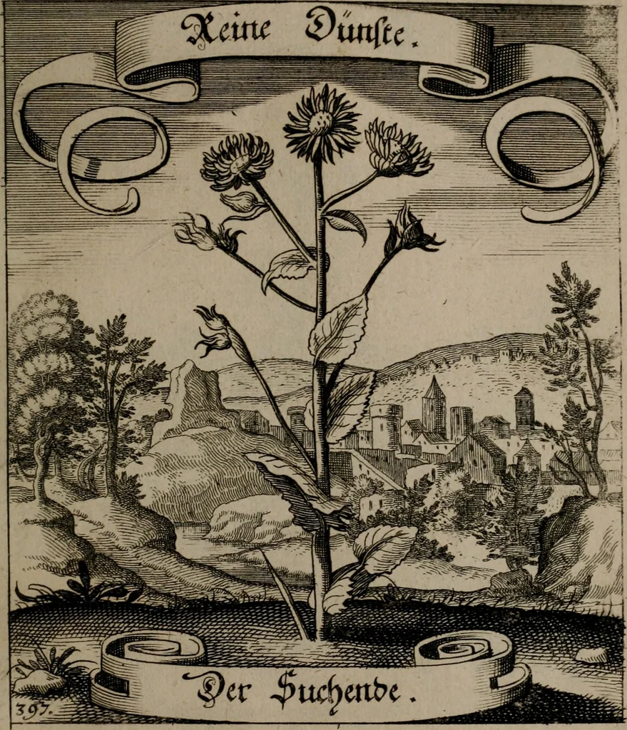 An illustration from Der Fruchtbringenden Geselschaft Nahmen, Vorhaben, Gemählde und Wörter : nach jedes Einnahme ordentlich in Kupfer gestochen, und in achtzeilige Reimgesetze verfasset, 1646, leaf 816