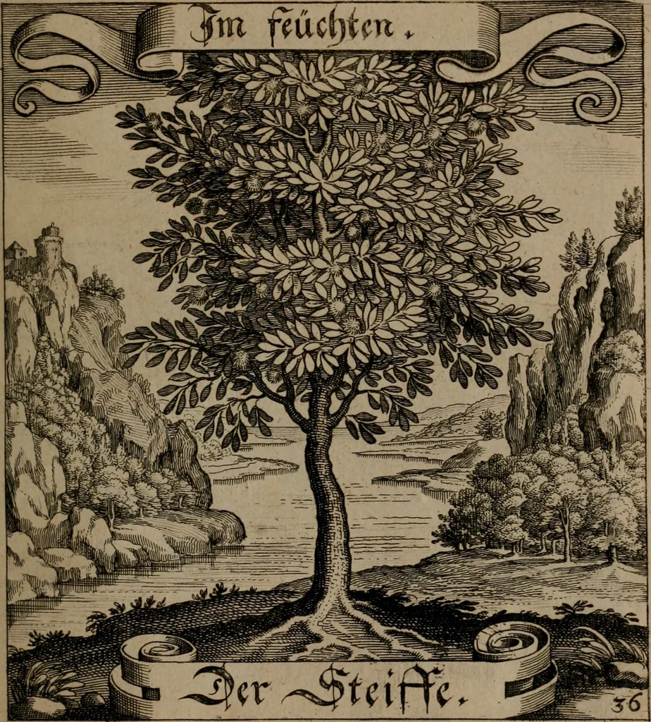 An illustration from Der Fruchtbringenden Geselschaft Nahmen, Vorhaben, Gemählde und Wörter : nach jedes Einnahme ordentlich in Kupfer gestochen, und in achtzeilige Reimgesetze verfasset, 1646, leaf 82