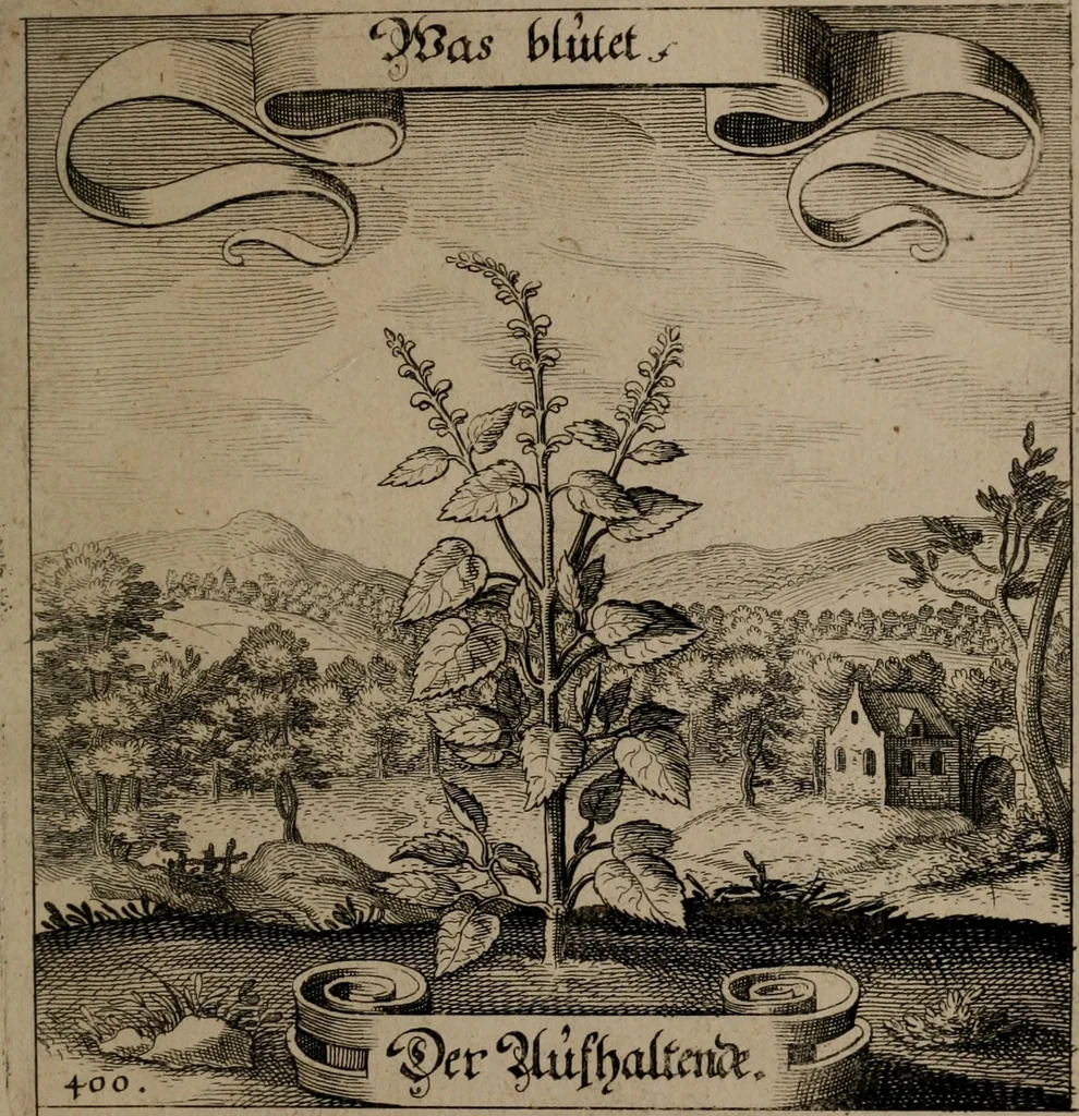 An illustration from Der Fruchtbringenden Geselschaft Nahmen, Vorhaben, Gemählde und Wörter : nach jedes Einnahme ordentlich in Kupfer gestochen, und in achtzeilige Reimgesetze verfasset, 1646, leaf 822