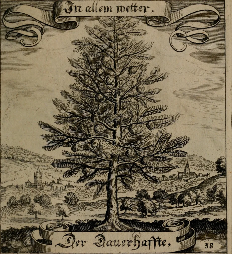 An illustration from Der Fruchtbringenden Geselschaft Nahmen, Vorhaben, Gemählde und Wörter : nach jedes Einnahme ordentlich in Kupfer gestochen, und in achtzeilige Reimgesetze verfasset, 1646, leaf 86