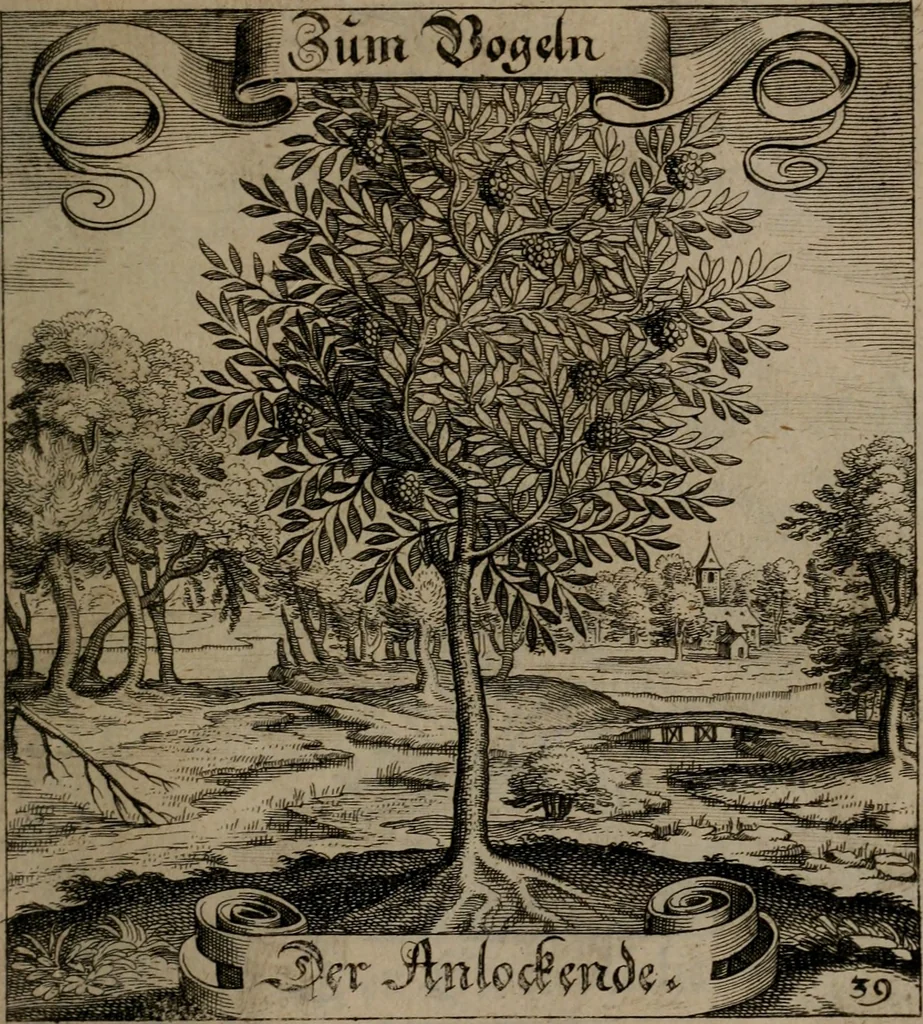 An illustration from Der Fruchtbringenden Geselschaft Nahmen, Vorhaben, Gemählde und Wörter : nach jedes Einnahme ordentlich in Kupfer gestochen, und in achtzeilige Reimgesetze verfasset, 1646, leaf 88